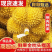 金枕榴莲/一件代发/淘宝/拼多多/京东/直播/全平台对接