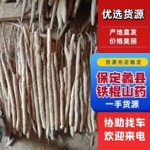 万亩精品铁棍山药，河北产地直供，专注电商社区团购