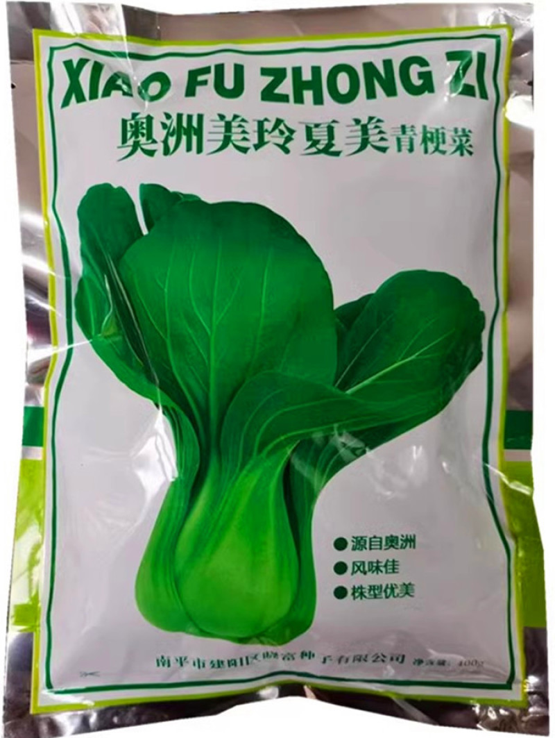 奥洲美玲夏美青梗菜种子，耐热耐寒，早熟抗病，四季可播