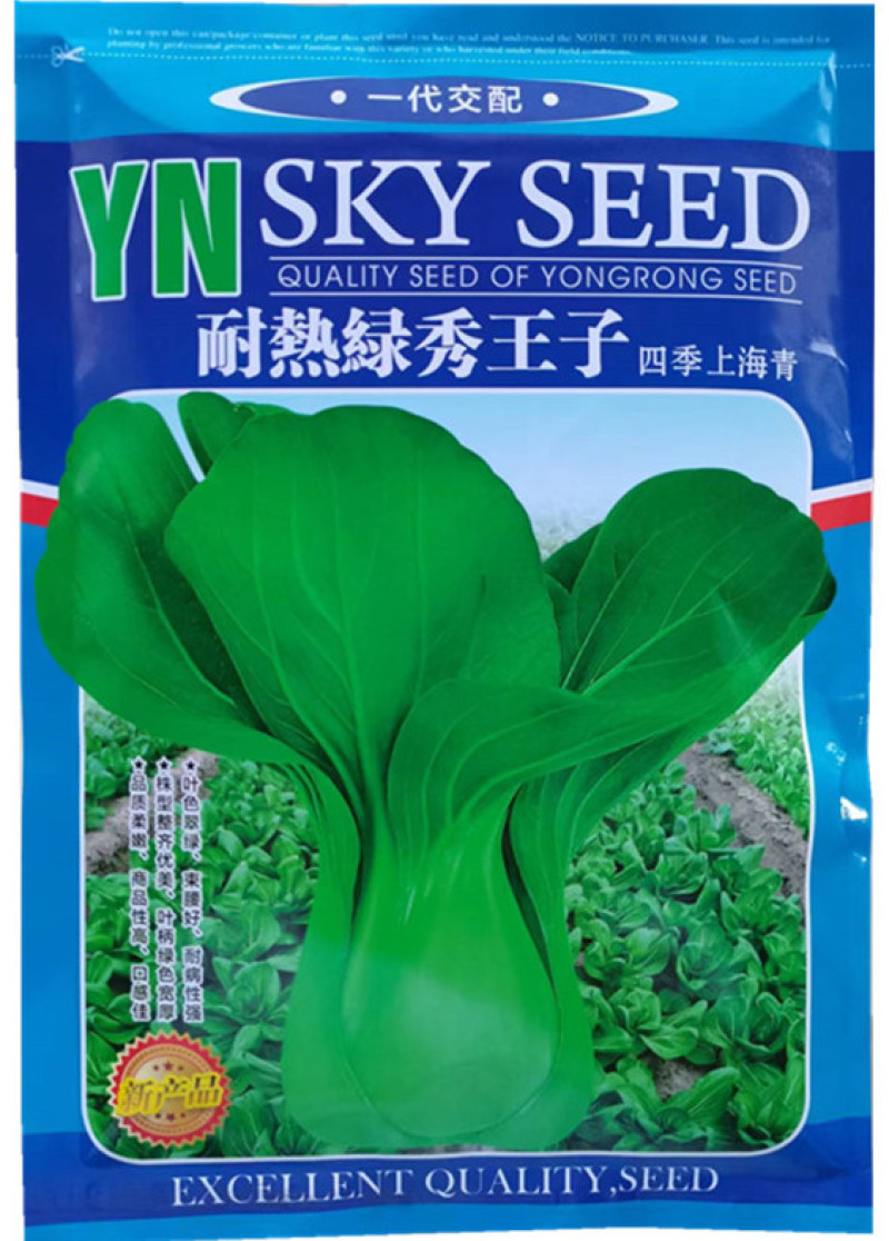 耐热绿秀王子上海青种子，耐热耐寒，束腰，抗病，基地种植