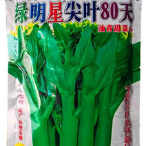 绿明星尖叶80天油青甜菜心种子，尖叶，茎苔粗条，甜脆无渣