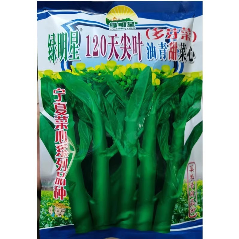 绿明星尖叶80天油青甜菜心种子，尖叶，茎苔粗条，甜脆无渣