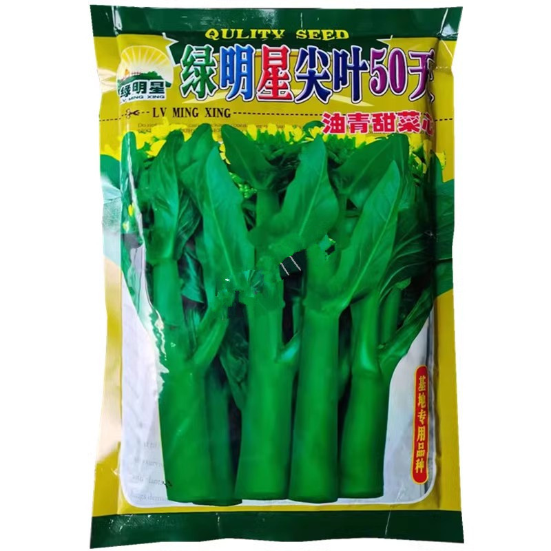 绿明星尖叶80天油青甜菜心种子，尖叶，茎苔粗条，甜脆无渣