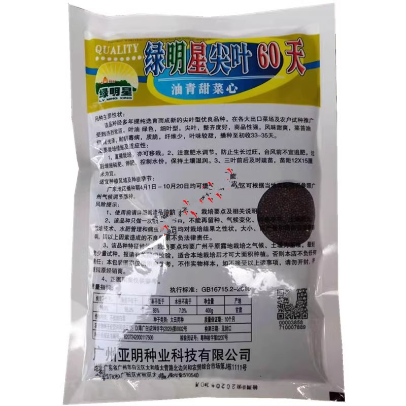 绿明星尖叶80天油青甜菜心种子，尖叶，茎苔粗条，甜脆无渣