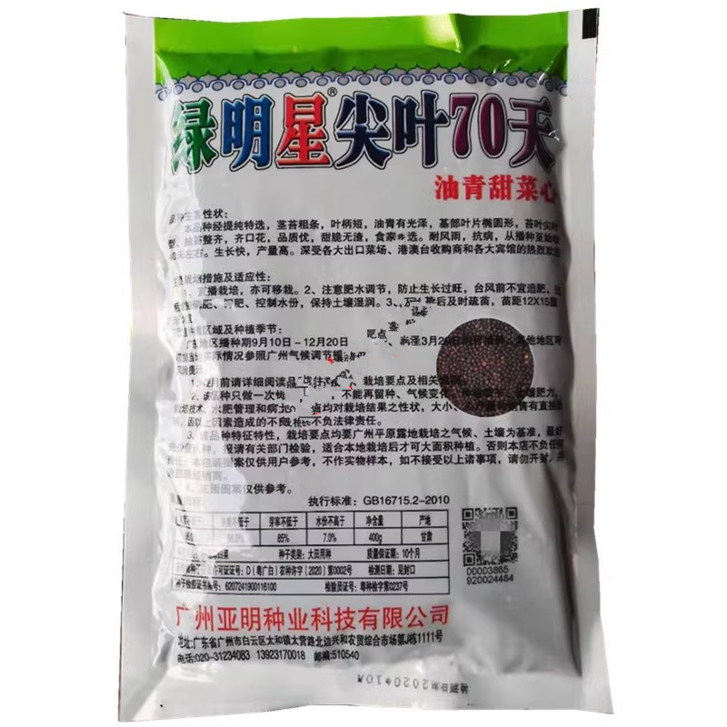 绿明星尖叶80天油青甜菜心种子，尖叶，茎苔粗条，甜脆无渣
