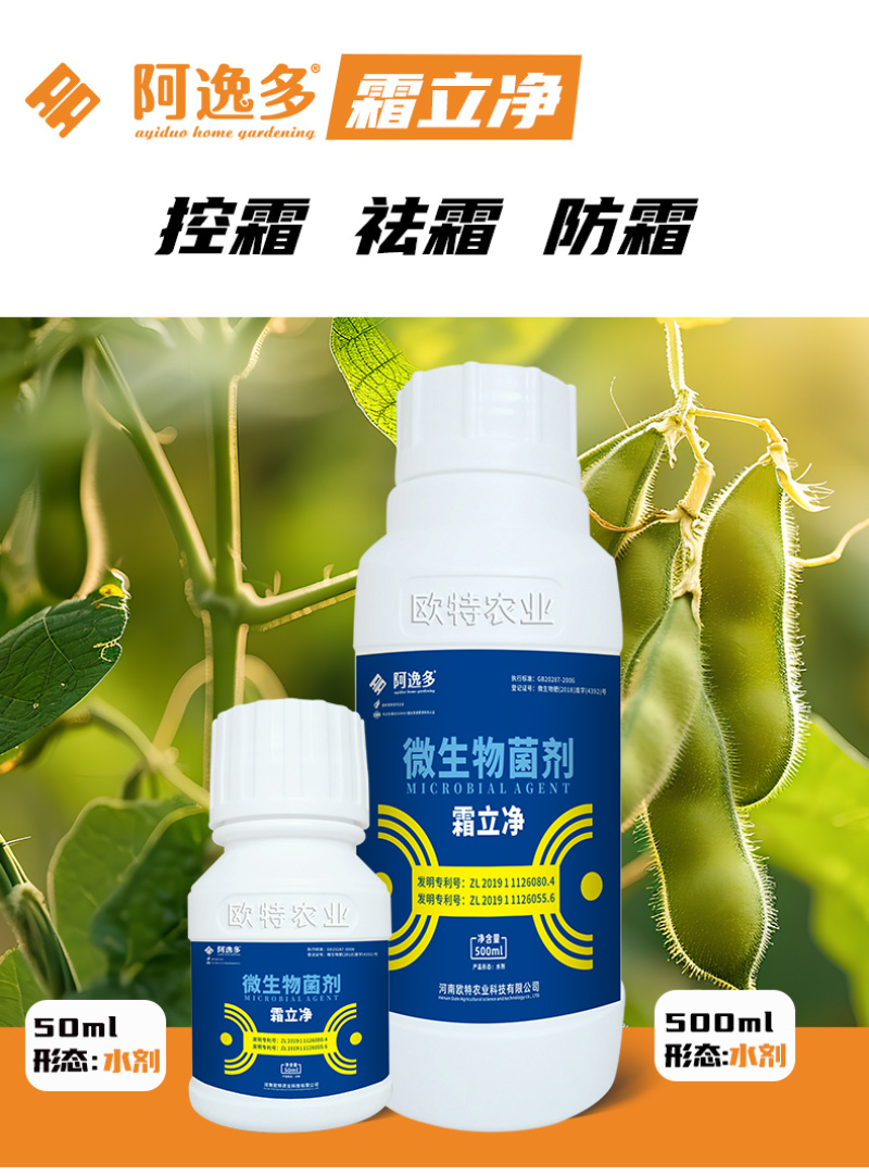 阿逸多霜立净果树蔬菜花卉霜霉专用菌剂微生物菌肥厂家批发