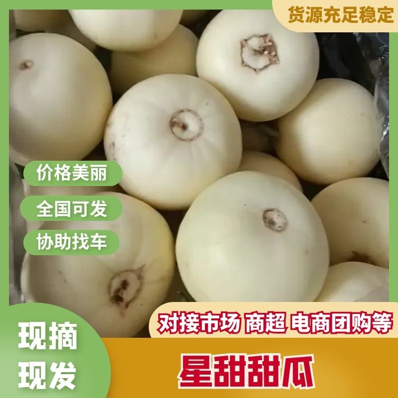 甜瓜，小白瓜，产地直供，一手货源！欢迎电话咨询量大