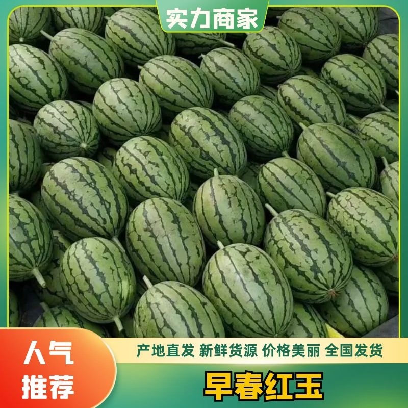 砀山早春红玉2k小糖丸西瓜大量上市了！欢迎咨询
