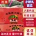 【精品小糖丸】新品上市皮薄汁甜现摘现发全国代发价优