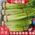 【蒜薹】江苏白帽蒜薹产地直发品质保证提供一条龙服务