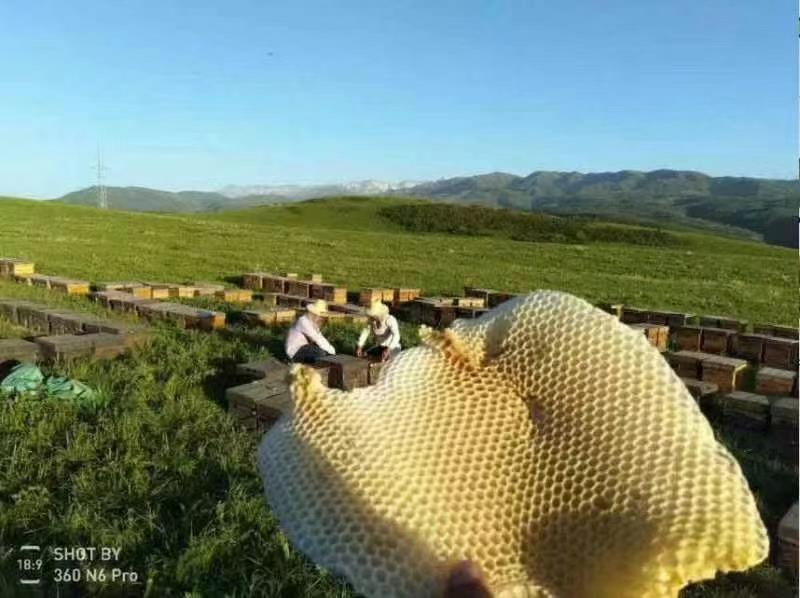 吉尔吉斯斯坦高山白蜜蜂蜜常年发货，包邮包清关欢迎联系