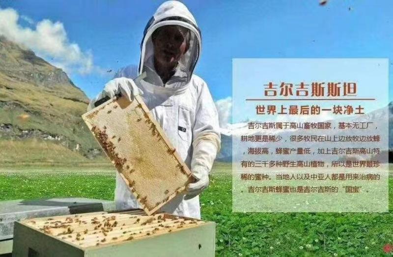 吉尔吉斯斯坦高山白蜜蜂蜜常年发货，包邮包清关欢迎联系