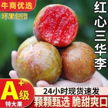 专业一件代发云南三华李1/2/3/5斤产地一直，欢迎各大