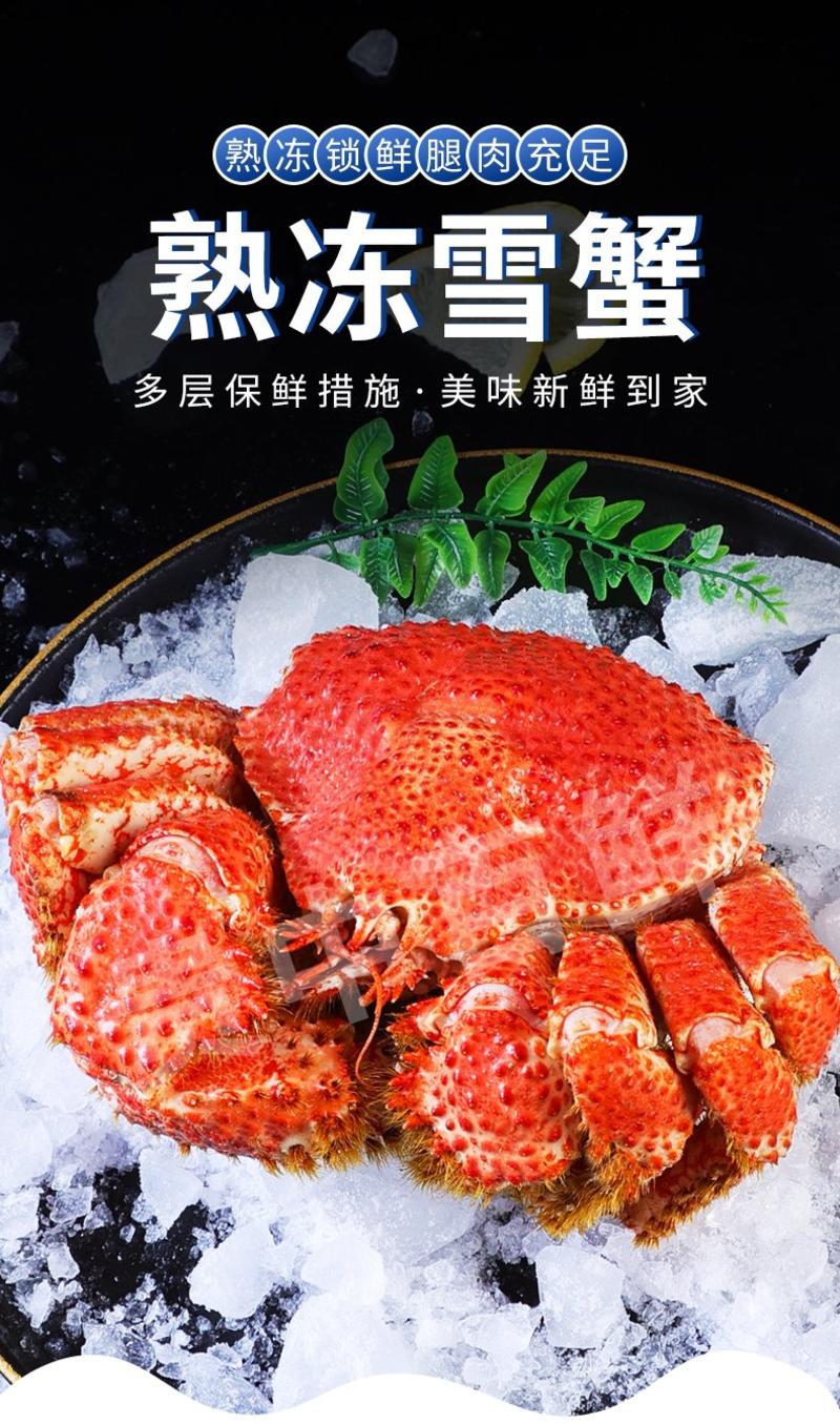 【雪蟹】江苏基地直供质量保证一手货源价格美丽欢迎订购