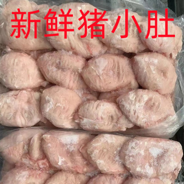 猪小肚新鲜冷冻猪膀胱