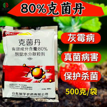 邹平阿胜80%克菌丹草莓灰霉病真菌保护杀菌剂