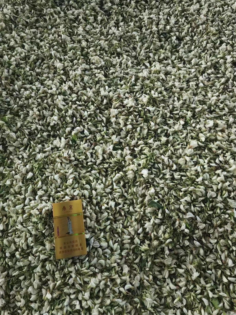【量大优惠】槐花大量上市中一手货源价格优惠可发全国客商