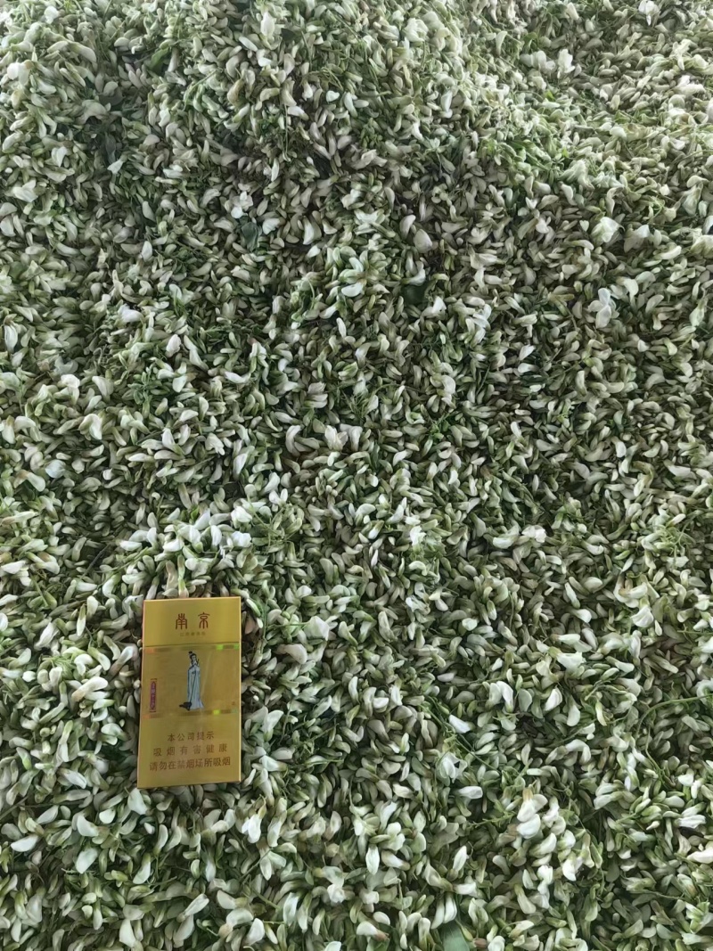 【量大优惠】槐花大量上市中一手货源价格优惠可发全国客商