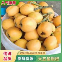 四川宜宾精品大五星枇杷，货源充足，基地直发，一手货源