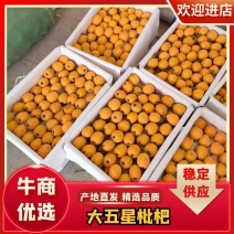 正宗宜宾大五星枇杷大量上市中，皮薄肉厚，口感好，价格便宜