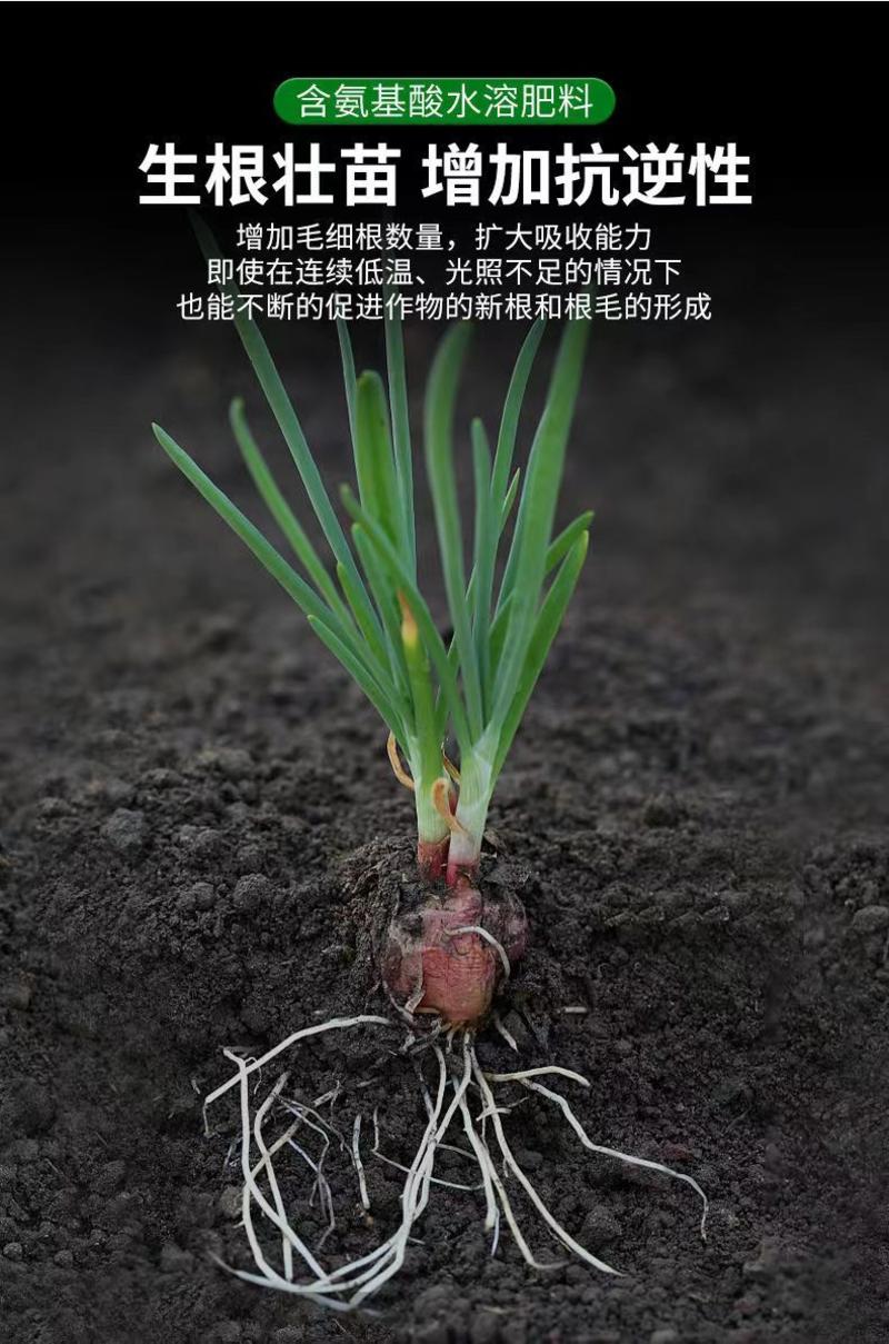 生根壮苗养根护根快速生根剂花卉果树瓜果蔬菜类氨基酸水溶肥