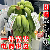 小米蕉新鲜水果一件禁止蕉绿整串香蕉绿色拒绝焦虑成