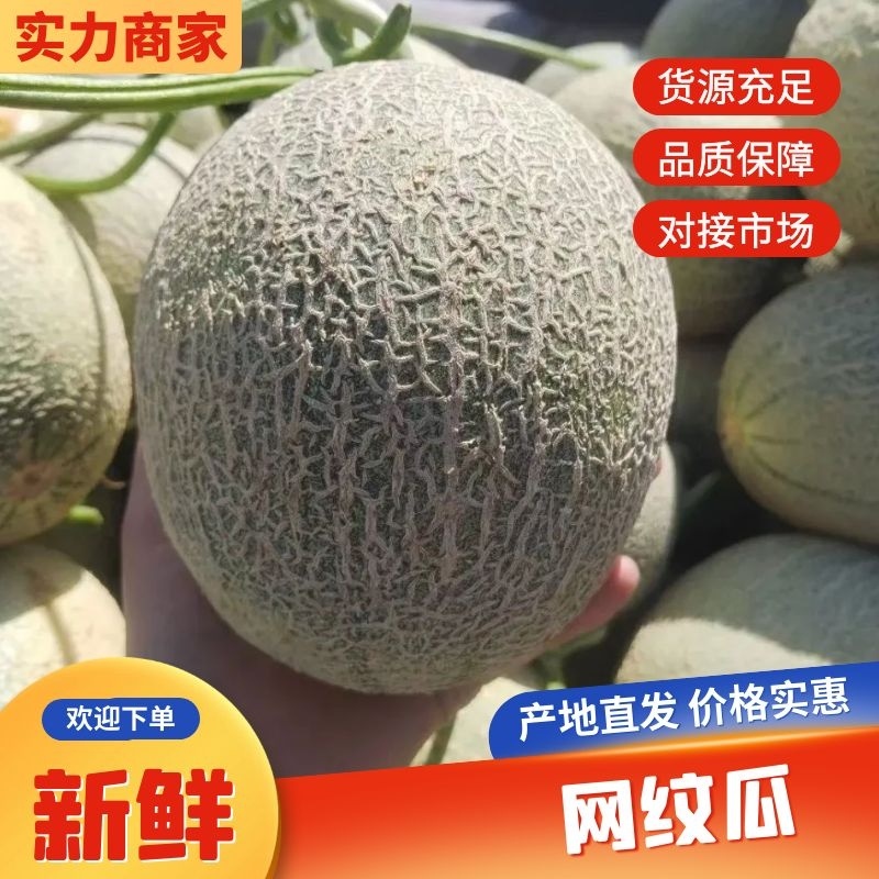 网纹瓜大量现货供应各大电商平台，商超等大中小批发市场。