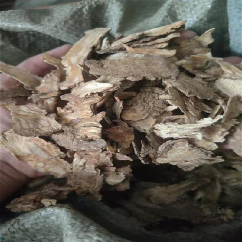 当归全网低价疯抢无添加新鲜现货快来购买，量大从优！