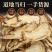当归全网低价疯抢无添加新鲜现货快来购买，量大从优！