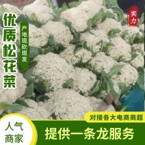 【花菜】山东松花菜大量供应拒绝中间商可视频看货