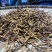 虫草**供应24小时在线服务价格美丽产地直发品质保证