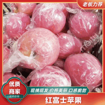 【精】山西运城临膜袋红富士苹果大量上市诚信经营规格齐