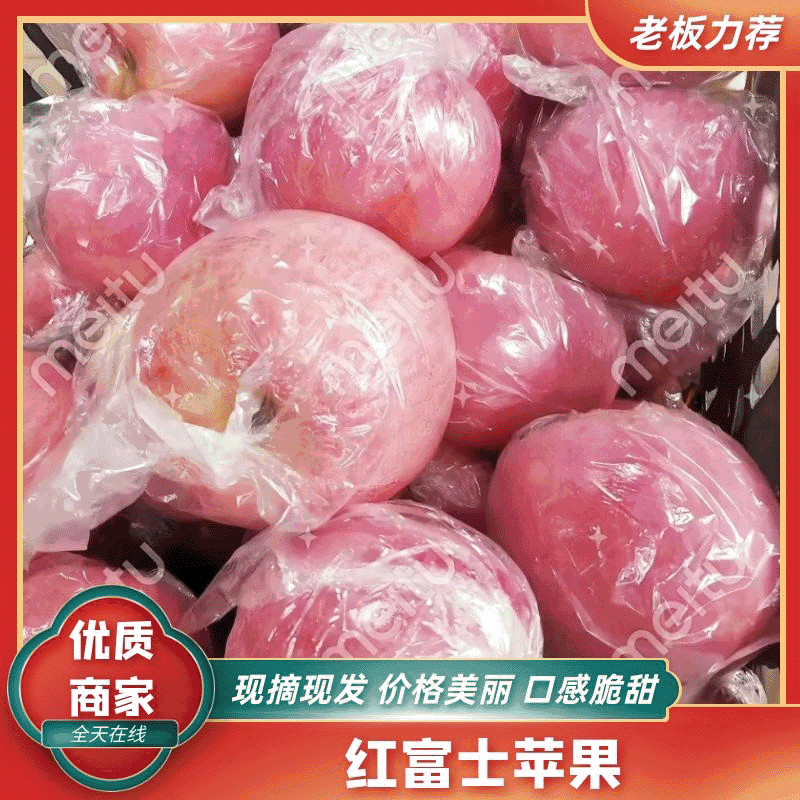 【精】山西运城临膜袋红富士苹果大量上市诚信经营规格齐