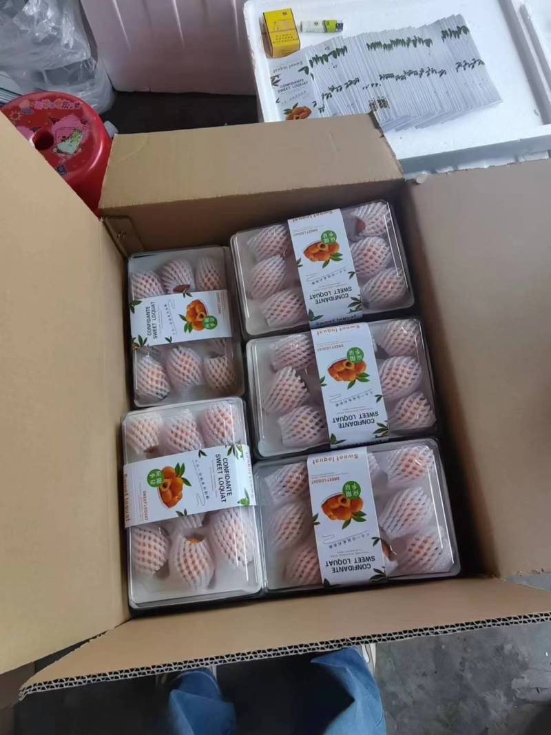 雅安市汉源县大五星枇杷大量上市啦！欢迎各位老板前来对接