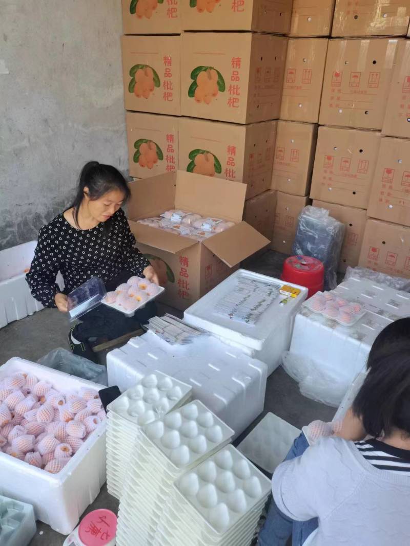 雅安市汉源县大五星枇杷大量上市啦！欢迎各位老板前来对接
