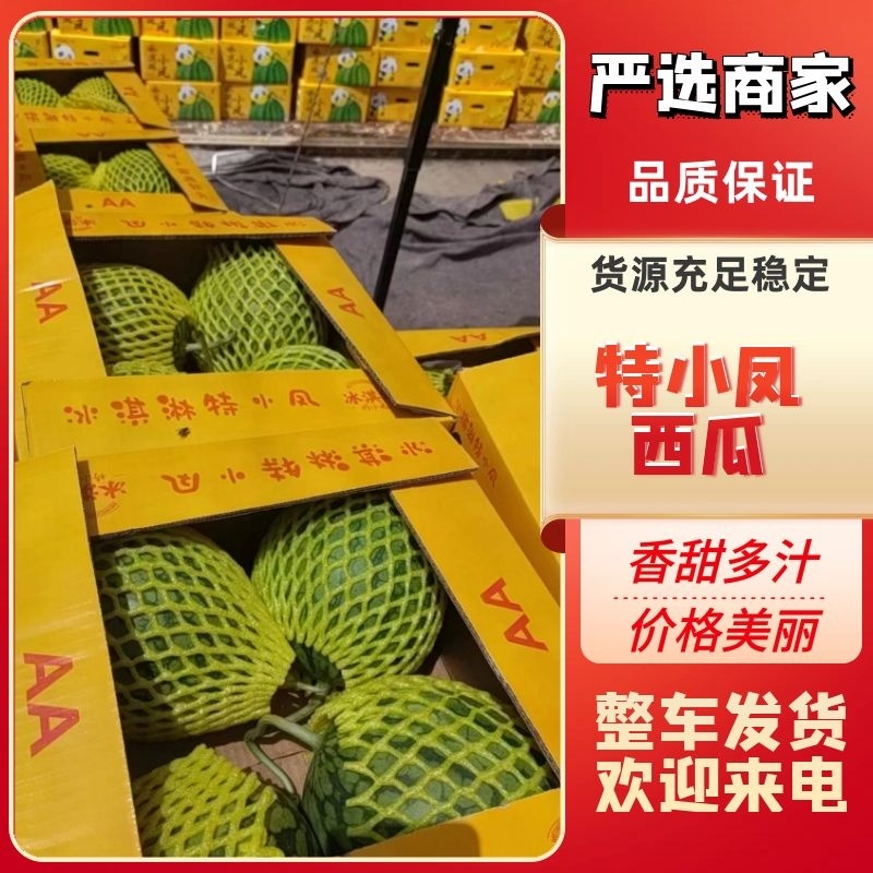【推荐】江苏精品特小凤西瓜，产地一手货源，可视频看货选货