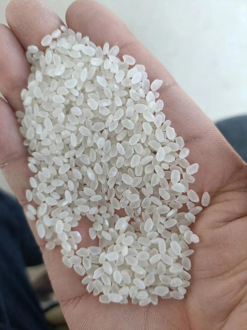 珍珠米，厂家发货，一手货源对接大型批发商，欢迎来电咨询