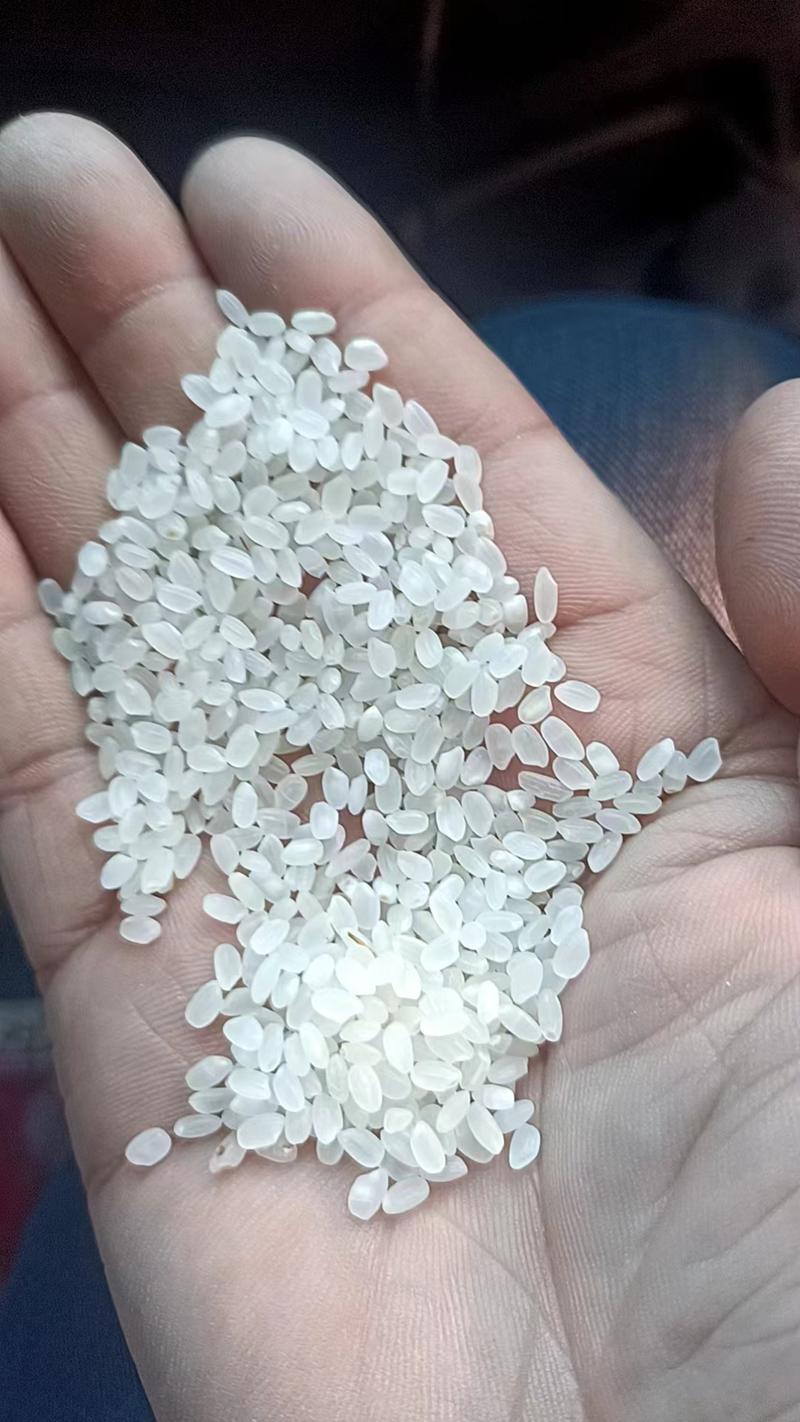 珍珠米，厂家发货，一手货源对接大型批发商，欢迎来电咨询