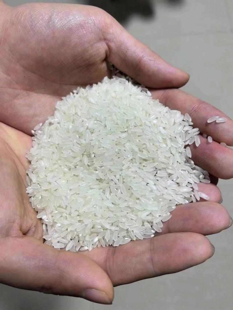 短长粒香大米，东北大米，厂家货源价格优惠质量保证视频看货