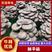 北京鲜平菇基地直发对接全国市场规格齐全品质保证