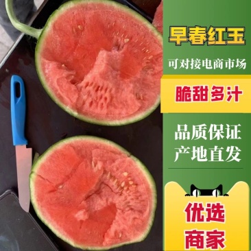 2k小糖丸西瓜大量供应皮薄口感好对接商超市场保质保量代