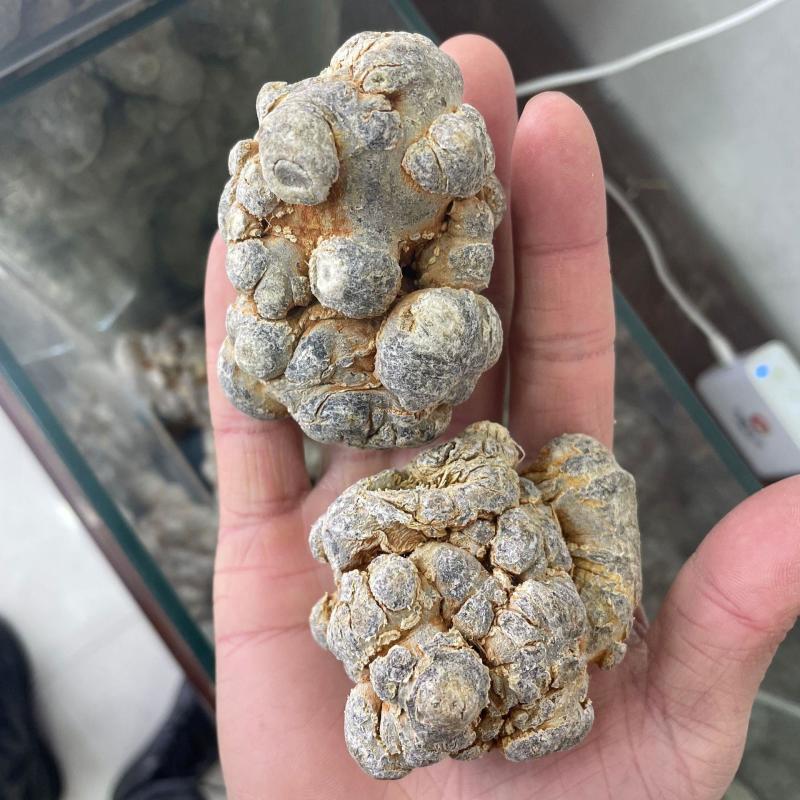 三七大全各种规格新货各种药材