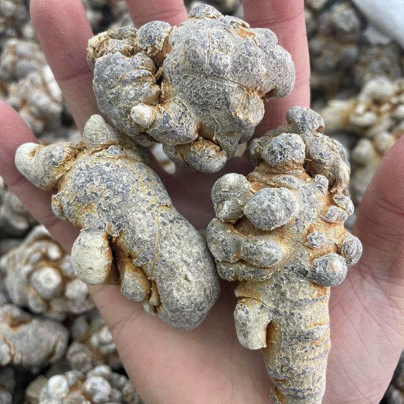 三七大全各种规格新货各种药材