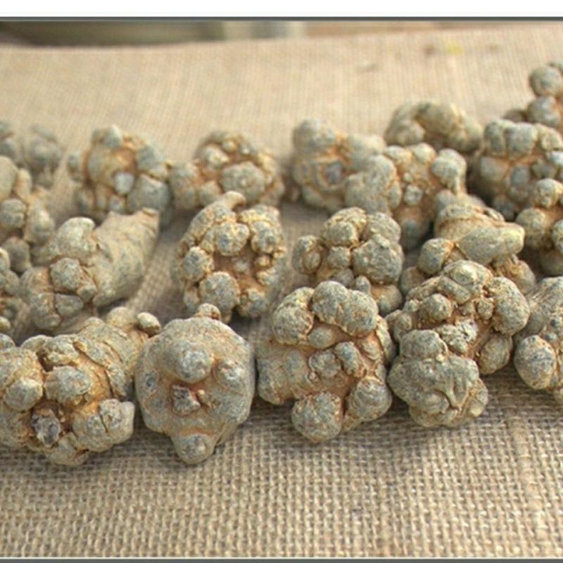 产地直发纯正三七超高性价比的选择欢迎联系咨询