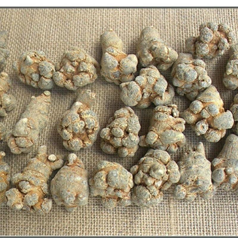产地直发纯正三七超高性价比的选择欢迎联系咨询
