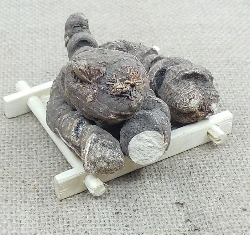 品质重楼***保证随时有货随时聊