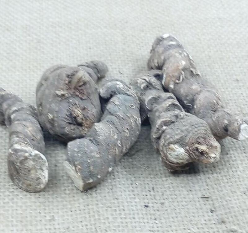 品质重楼***保证随时有货随时聊