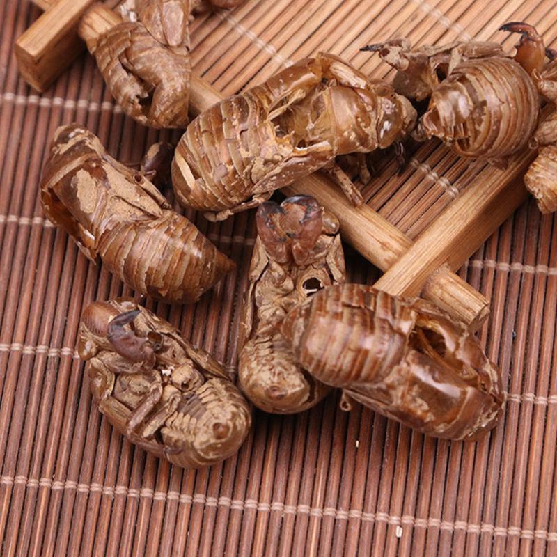 新鲜蝉蜕特卖无杂质24小时在线货源充足