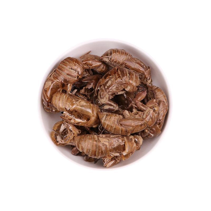 新鲜蝉蜕特卖无杂质24小时在线货源充足