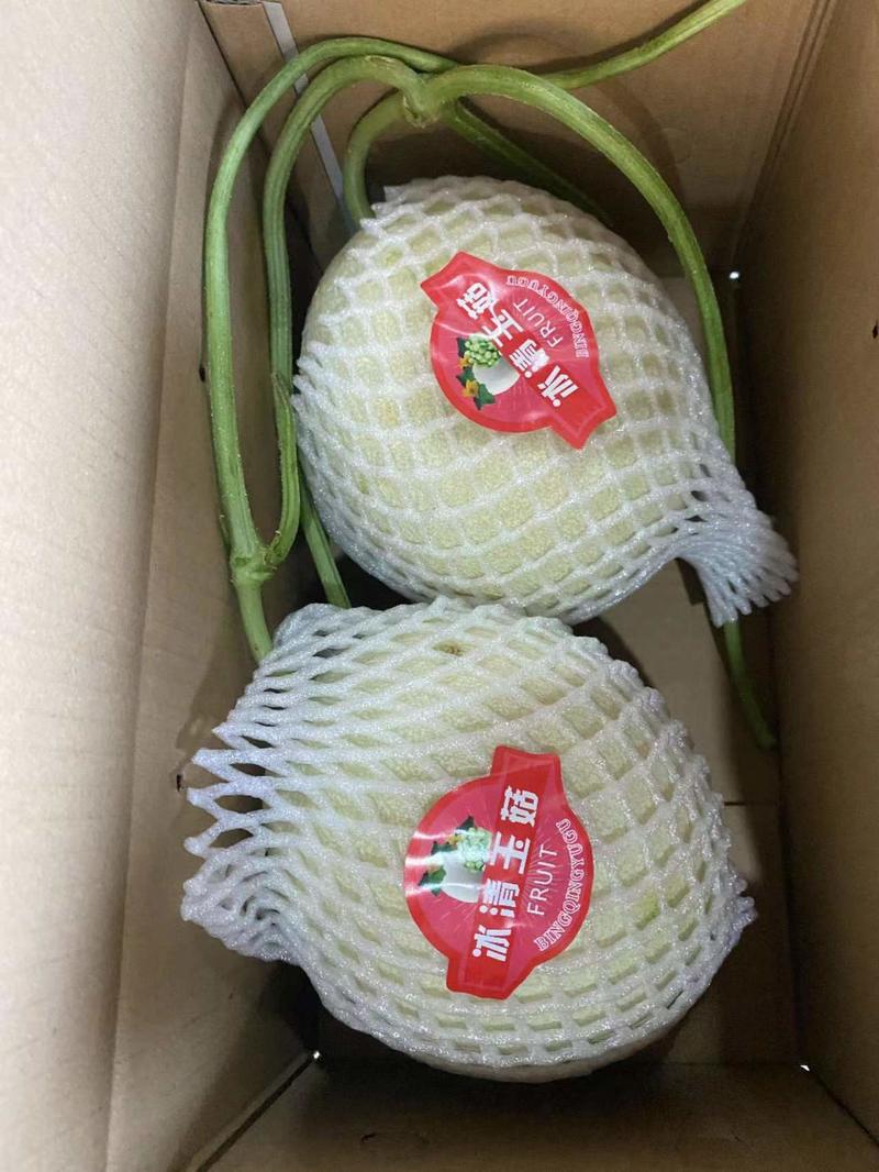 【热卖】山东精品玉菇甜瓜大量上市品质保障产地直发价